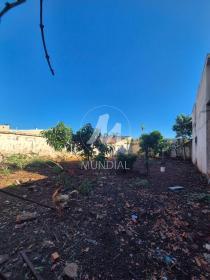 2 - Terreno/Lote