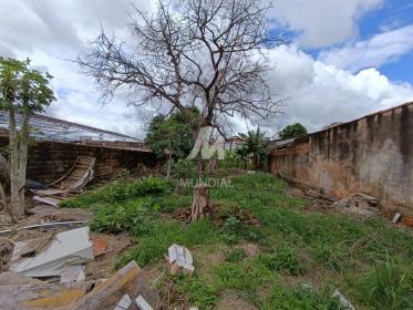 4 - Terreno/Lote