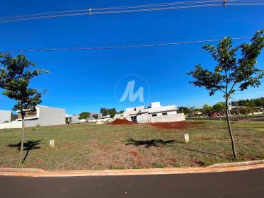 1 - Terreno/Lote