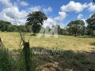 7 - Terreno/Lote