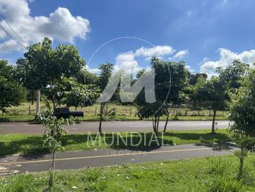 4 - Terreno/Lote