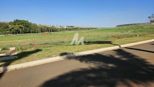 2 - Terreno/Lote