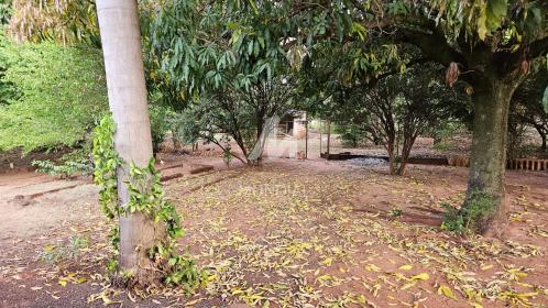 11 - Jardim