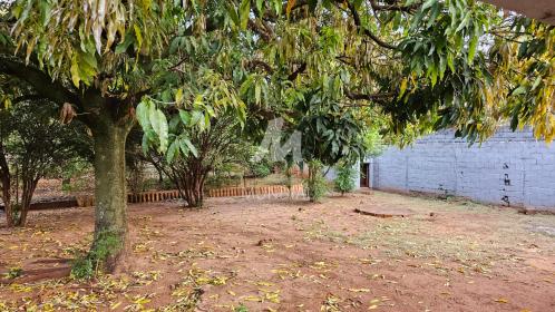 12 - Jardim