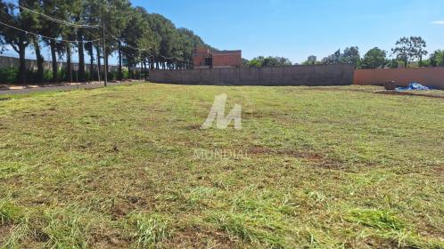 5 - Terreno/Lote