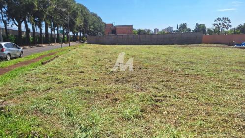 4 - Terreno/Lote