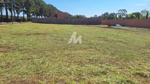 6 - Terreno/Lote