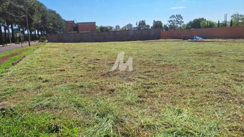 7 - Terreno/Lote