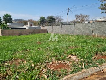 2 - Terreno/Lote