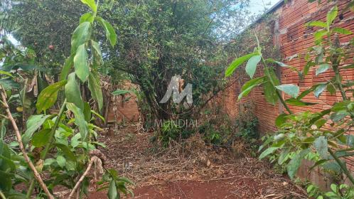 2 - Terreno/Lote