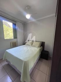 7 - Suite