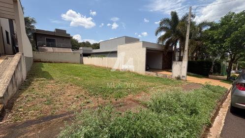 3 - Terreno/Lote
