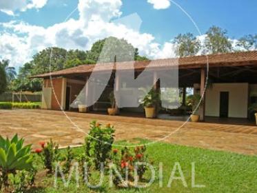 11 - Jardim