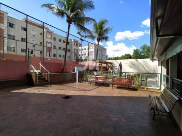 10 - Outros em Ribeirão Preto