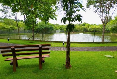 6 - Lagoa em Ribeirão Preto