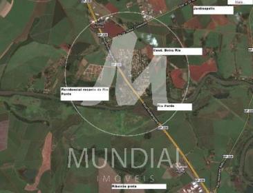 4 - Outros em Ribeirão Preto