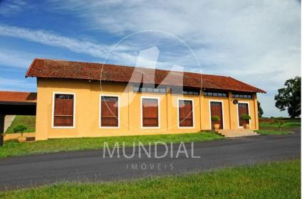 11 - Outros em Ribeirão Preto