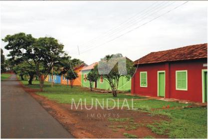 12 - Outros em Ribeirão Preto