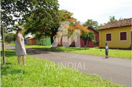 16 - Outros em Ribeirão Preto
