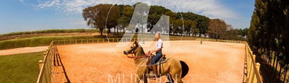 21 - Outros em Ribeirão Preto