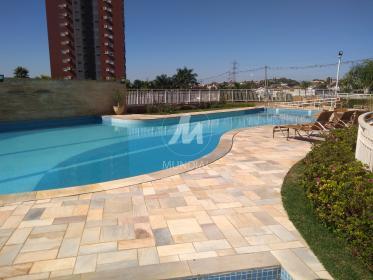 7 - Piscina(s) em Ribeirão Preto