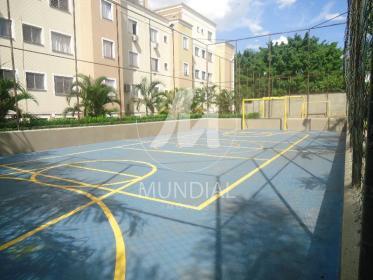 6 - Quadra de esportes em Ribeirão Preto