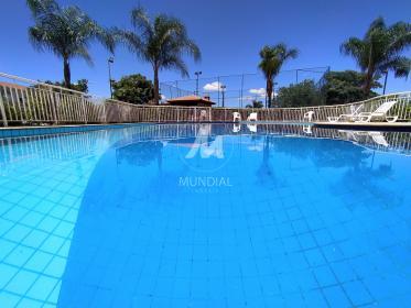 3 - Piscina(s) em Ribeirão Preto