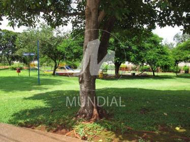 3 - Playground em Ribeirão Preto