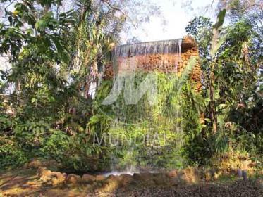 7 - Outros em Ribeirão Preto