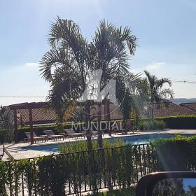 15 - Piscina(s) em Ribeirão Preto