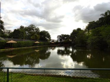 3 - Lagoa em Ribeirão Preto