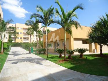 8 - Outros em Ribeirão Preto