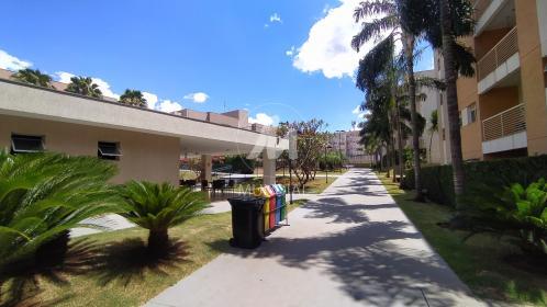 10 - Outros em Ribeirão Preto