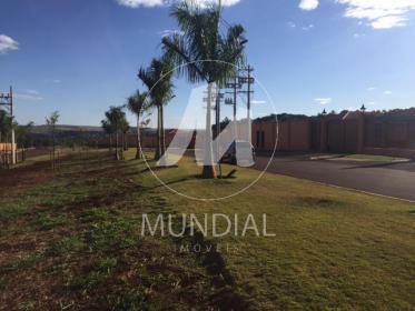 4 - Outros em Ribeirão Preto