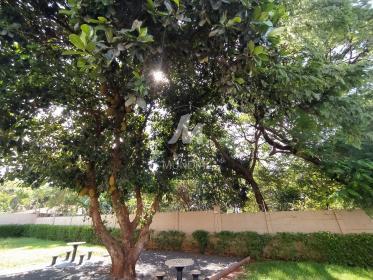 7 - Lazer Condominio em Ribeirão Preto
