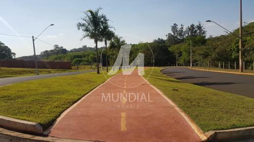 4 - Outros em Ribeirão Preto