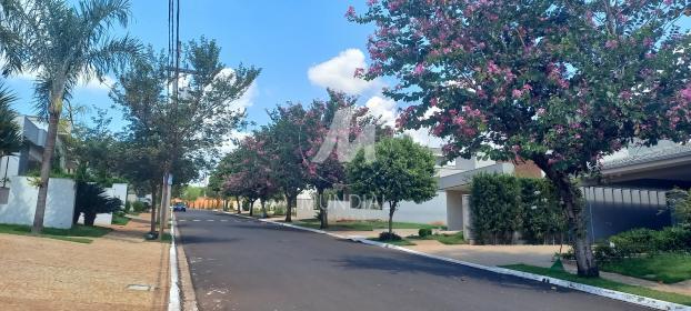 2 - Outros em Ribeirão Preto