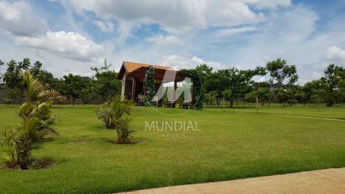 6 - Churrasqueira em Ribeirão Preto