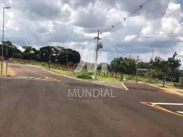 5 - Outros em Ribeirão Preto