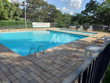 8 - Piscina(s) em Ribeirão Preto