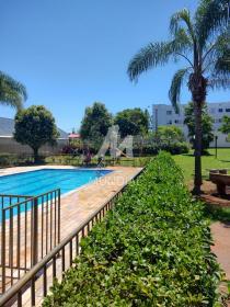 8 - Piscina(s) em Ribeirão Preto