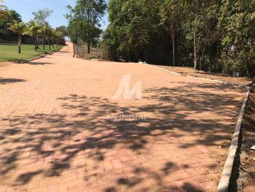 3 - Outros em Delfinópolis