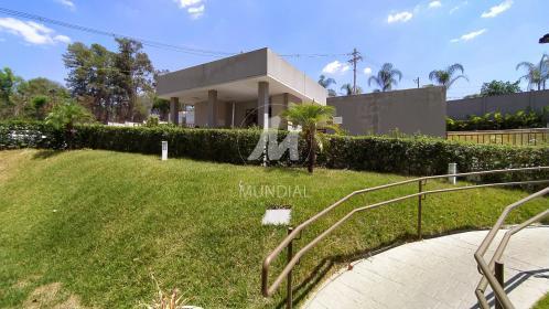 7 - Outros em Ribeirão Preto