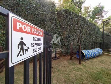 4 - Outros em Ribeirão Preto
