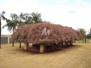 3 - Outros em Ribeirão Preto