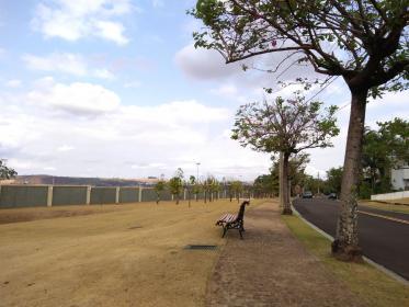 7 - Outros em Ribeirão Preto