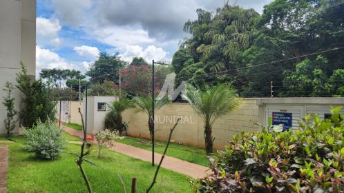 4 - Outros em Ribeirão Preto