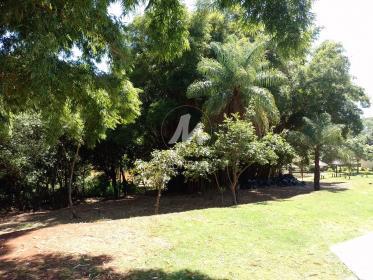 6 - Outros em Cravinhos