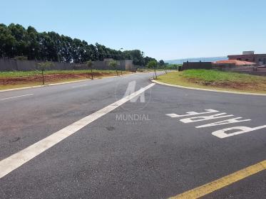 7 - Outros em Cravinhos