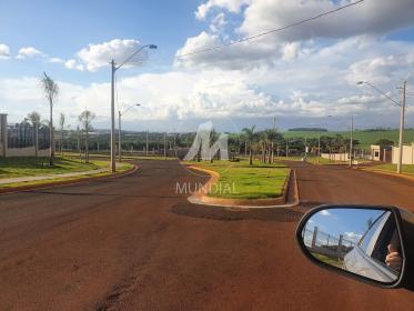 5 - Outros em Ribeirão Preto